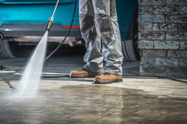 Best Rust Removal  in Carson City, MI