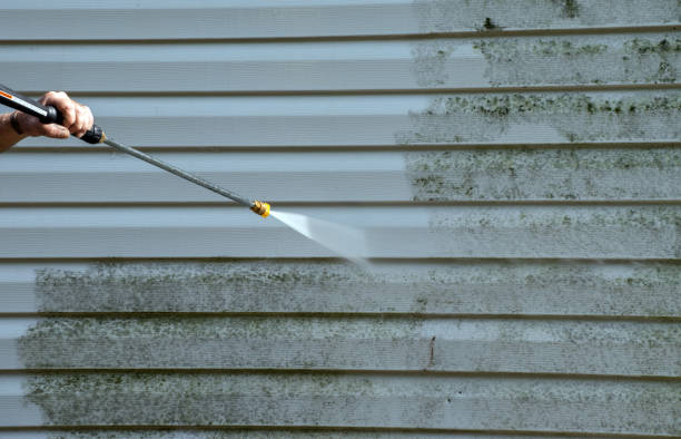 Trusted Carson City, MI Pressure Washing Experts