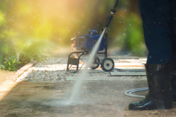 Best Dumpster Area Cleaning  in Carson City, MI